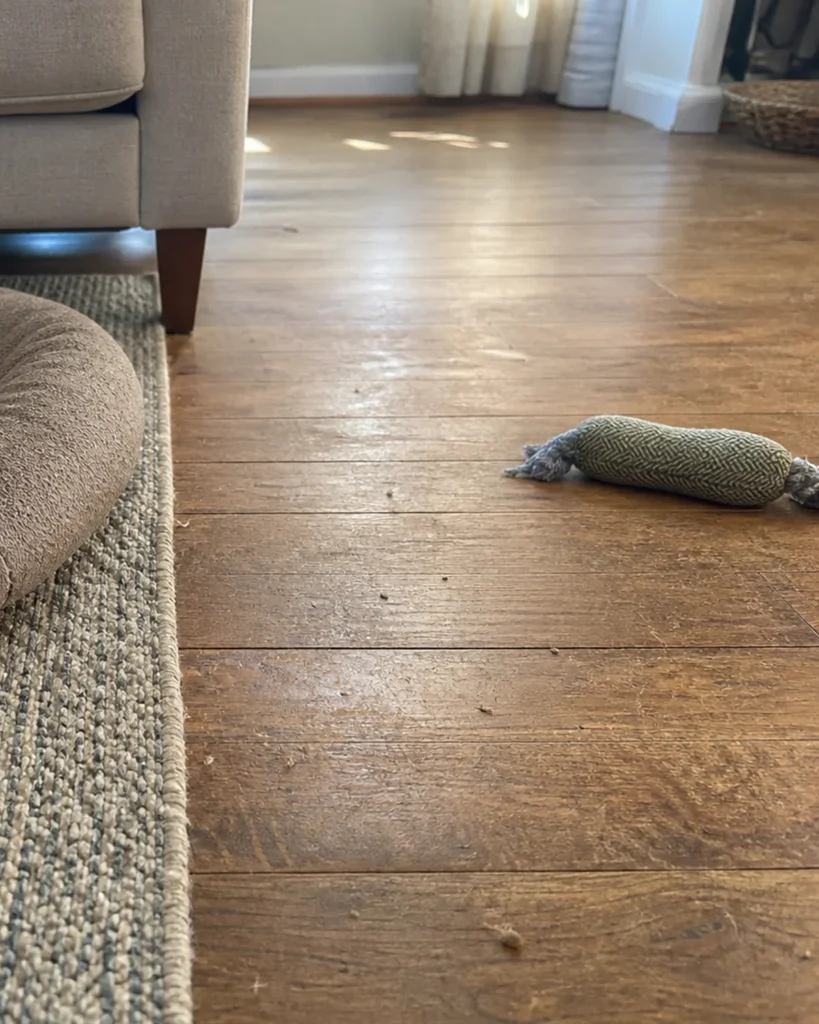 Low view of a pet bed partly entering the walking line between a sofa and door, with the route still visible around it.